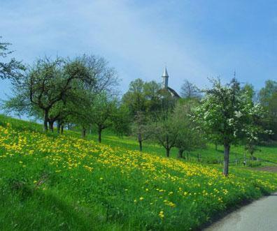Landgasthof Hirschen Albbruck Exterior foto